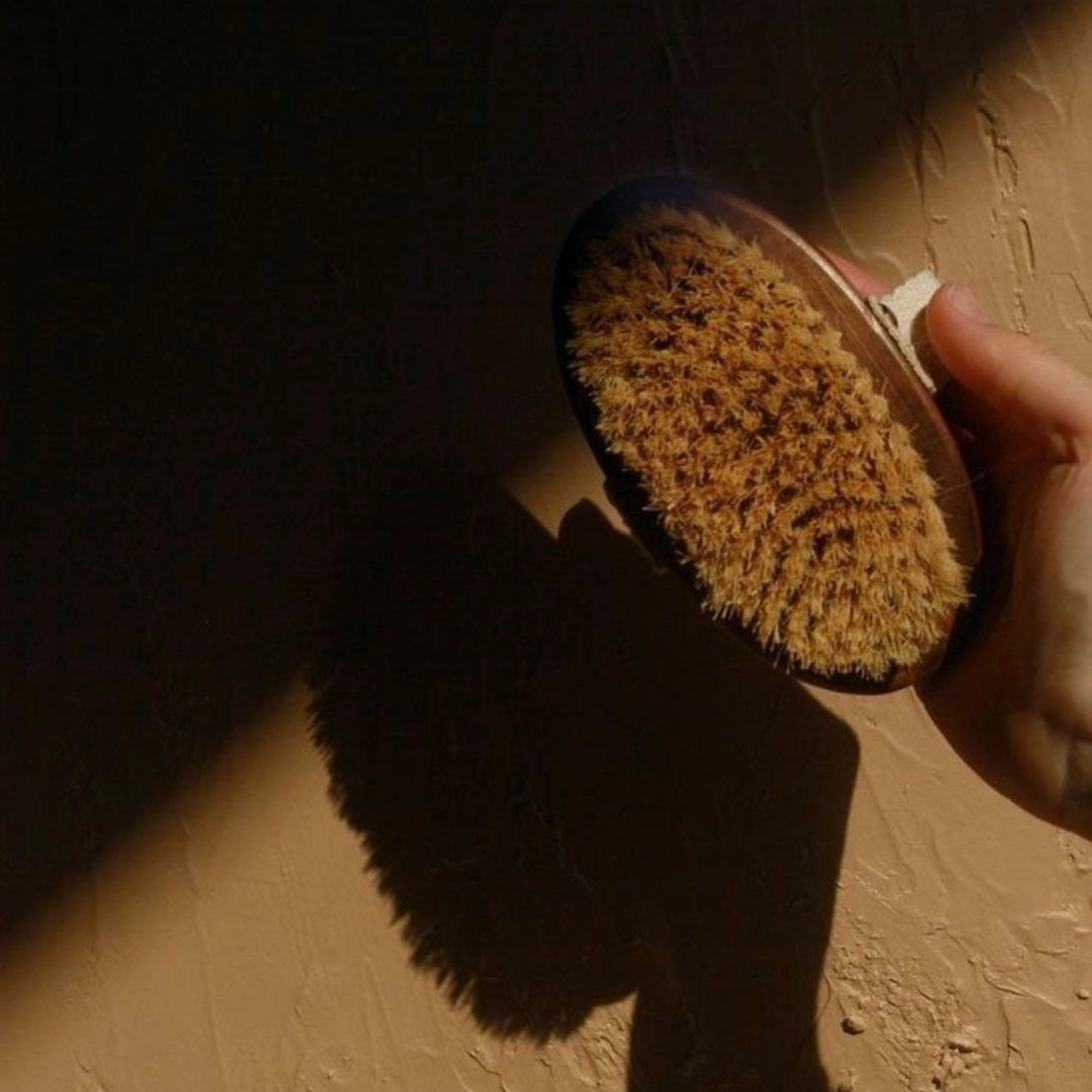 Brosse à sec naturelle  – Drainage & douceur